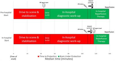 Quantifying the amount of greater brain ischemia protection time with pre-hospital vs. in-hospital neuroprotective agent start